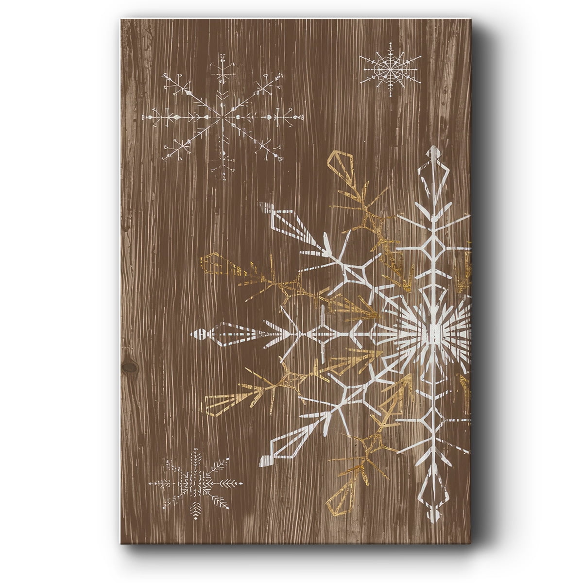 Barnwood Wonderland Collection B- Gallery Wrapped Canvas
