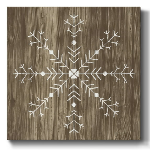 Barnwood Wonderland I- Gallery Wrapped Canvas