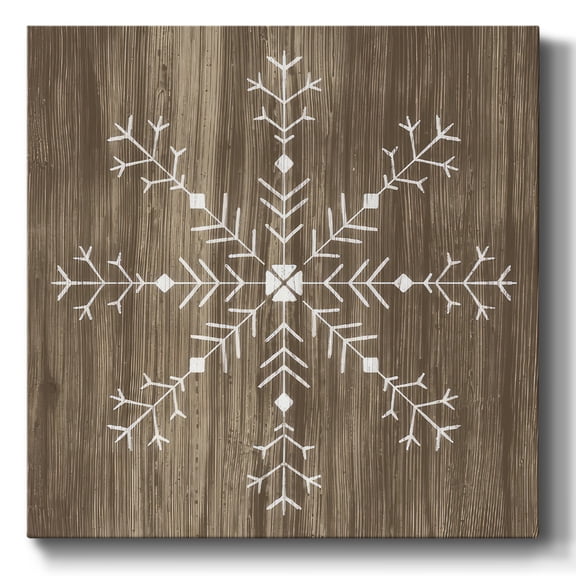 Barnwood Wonderland I- Gallery Wrapped Canvas