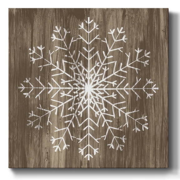 Barnwood Wonderland III- Gallery Wrapped Canvas