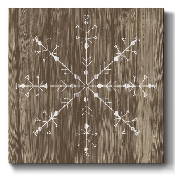 Barnwood Wonderland V- Gallery Wrapped Canvas