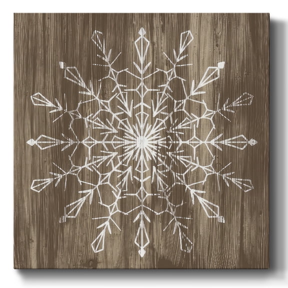 Barnwood Wonderland VI- Gallery Wrapped Canvas