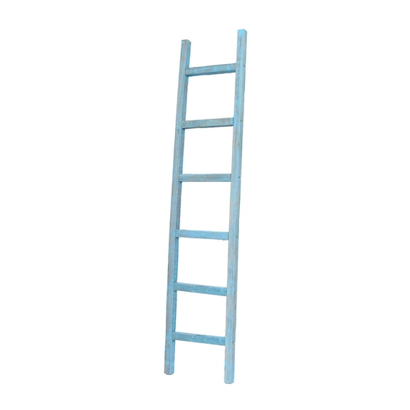Barnwood Rustic Farmhouse 6ft Robins Egg Blue Decorative Bookcase Display Ladder