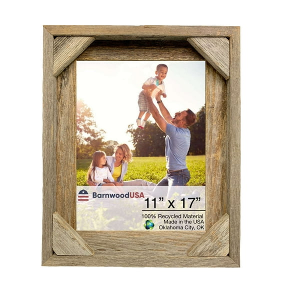 Document Frames 11 X 17 Picture