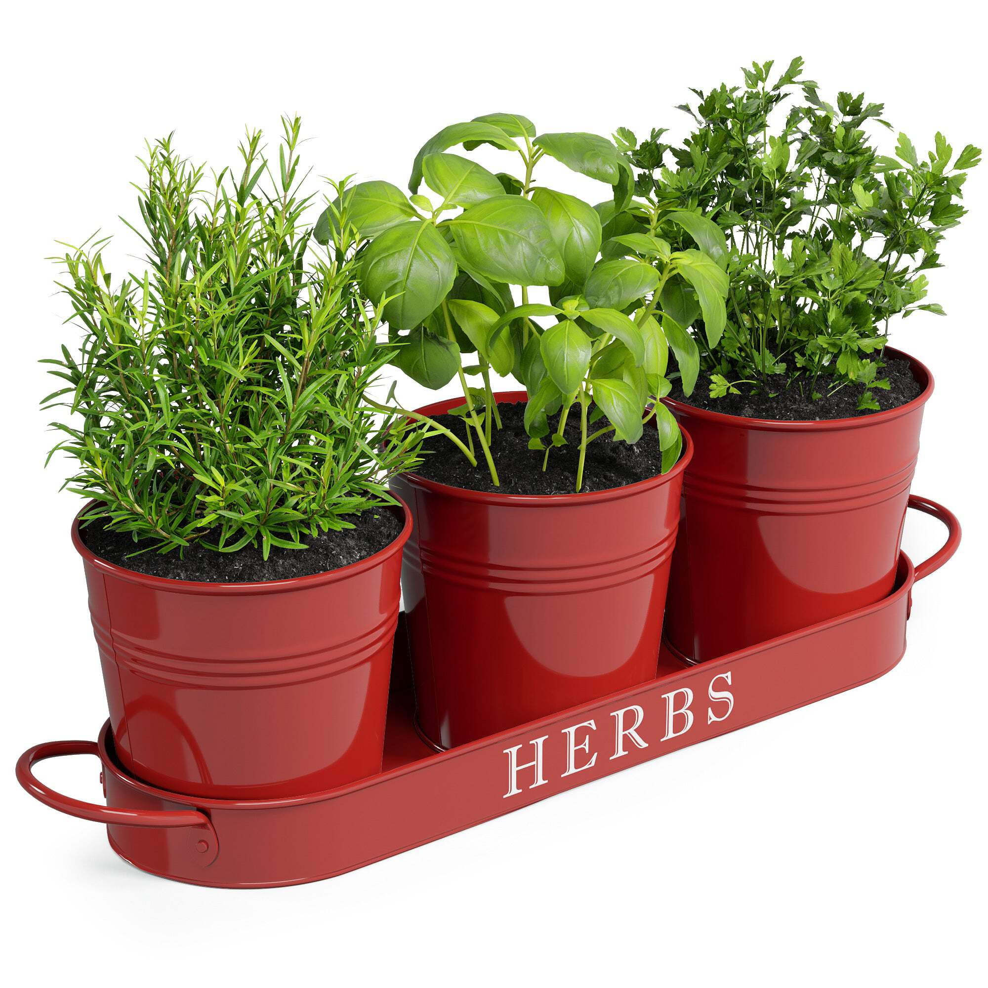 Brick Red Galvanized Metal Herb Planter Set with Tray