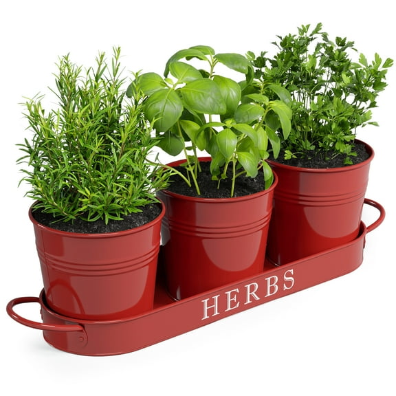 Barnyard Designs Indoor Herb Garden Planter Set with Tray, Metal Windowsill Plant Pots with Drainage for Outdoor or Indoor Plants, Set/3 (Brick Red)