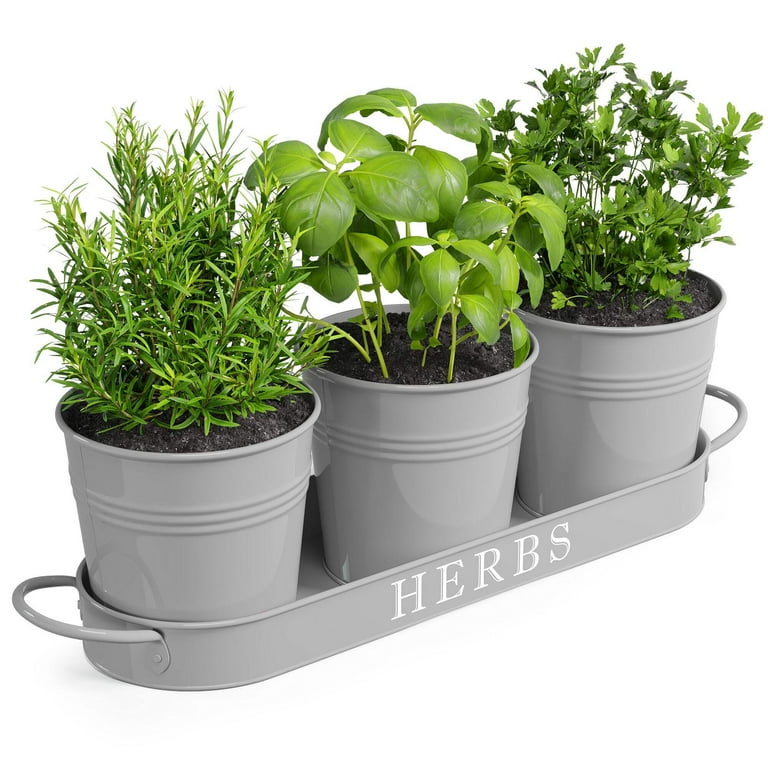 Set of 3 Green Metal Garden Planters with Tray