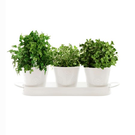 Barnyard Designs Farmhouse Herb Garden Planter Indoor Planter Set with Tray Outdoor Apartment Window Planter Box, Windowsill Planter Box, Indoor Herb Planter Garden Pots Herb Pots, White, Set/3
