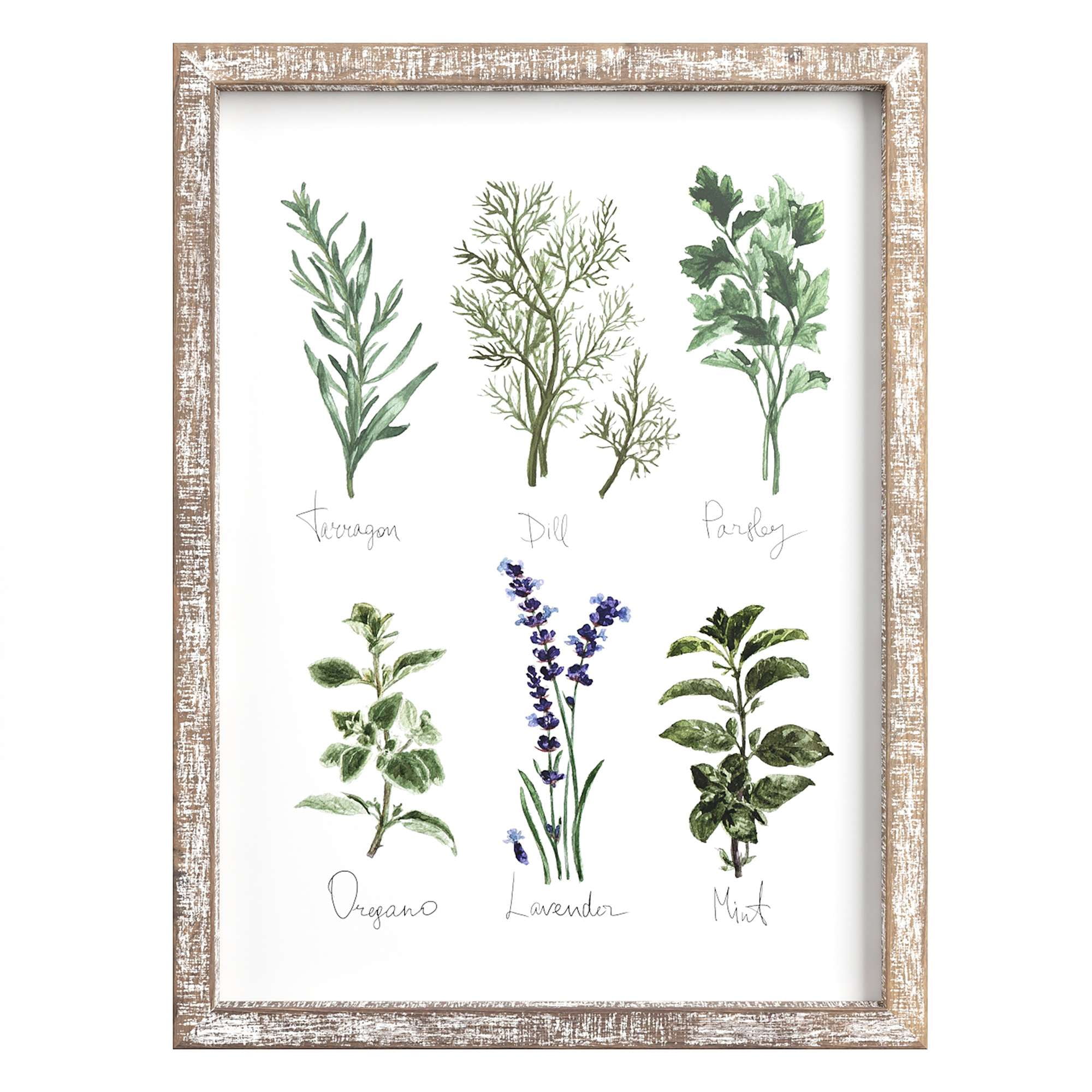 Rustic Botanical Herb Print Wood Framed Wall Art 12" x 16"