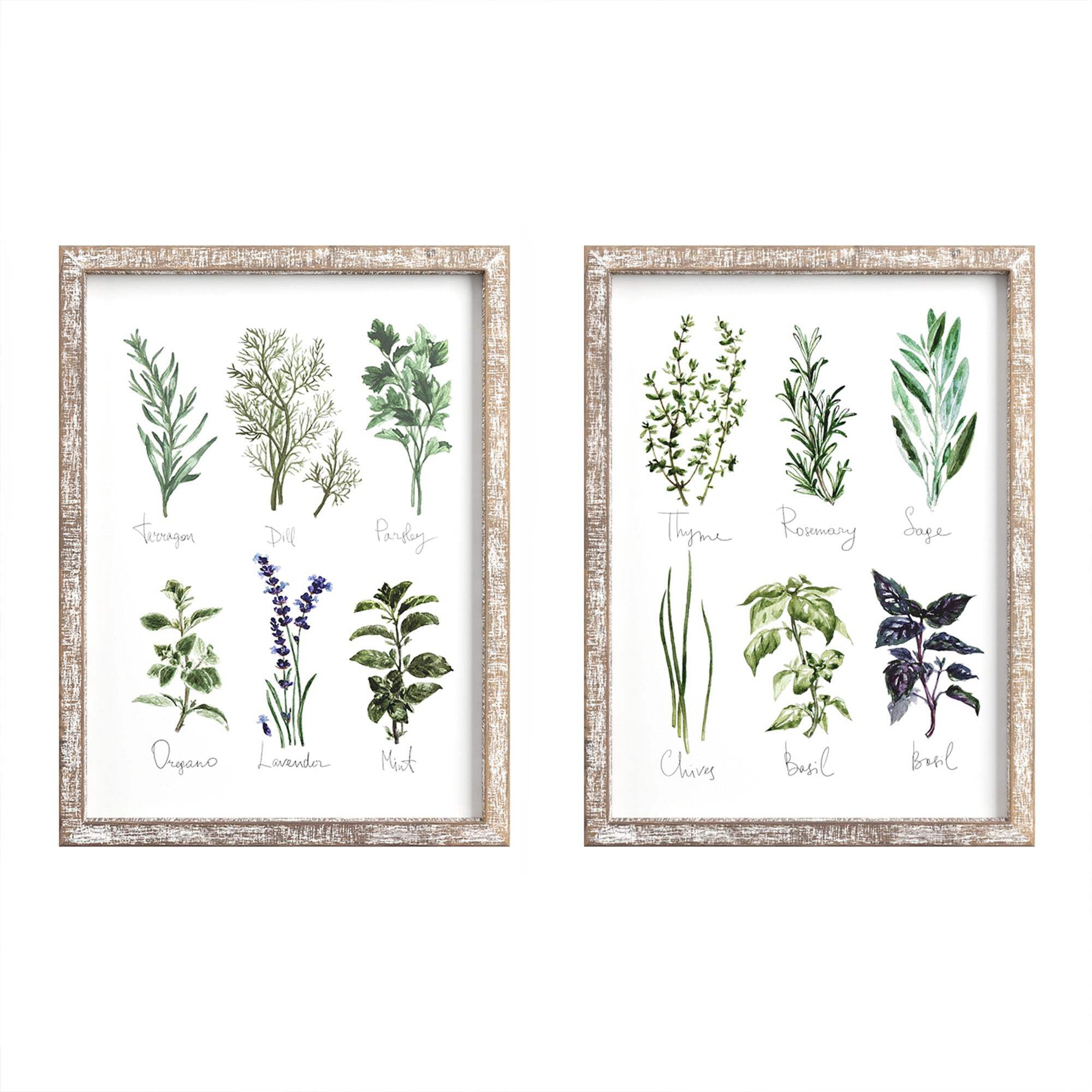Rustic Botanical Herb and Spice Wood Framed Wall Art Set
