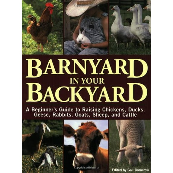 Pre-Owned Barnyard in Your Backyard : A Beginner's Guide to Raising Chickens, Ducks, Geese, Rabbits, Goats, Sheep, and Cows (Paperback)