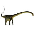 thumbnail image 1 of Barosaurus dinosaur  side profile. Poster Print by Corey Ford/Stocktrek Images, 1 of 1