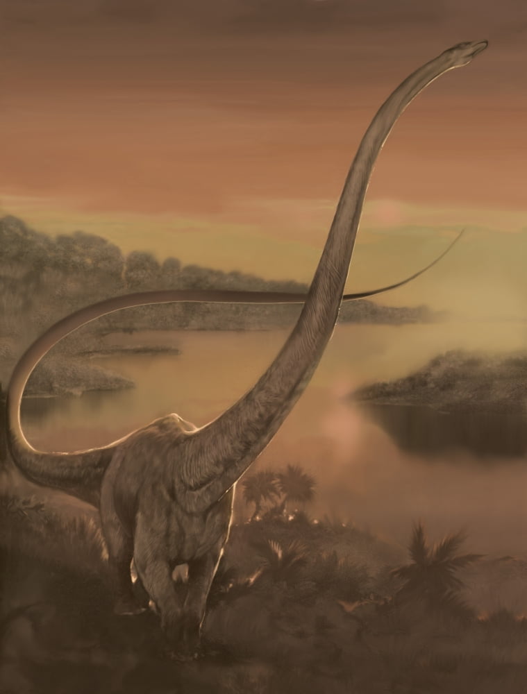 Barosaurus dinosaur walking along the river bank Canvas Art - Jan SovakStocktrek Images (13 x 16)