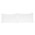Standard Size Pillowcases Set of 2, 20x26 Pillow Case with Envelope