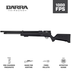 Pump Action Pellet Rifle