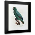 thumbnail image 1 of Barraband, Jacques 15x18 Black Modern Framed Museum Art Print Titled - L Amazone Femelle, 1 of 5