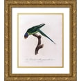 thumbnail image 1 of Barraband, Jacques 26x30 Gold Ornate Wood Framed with Double Matting Museum Art Print Titled - La Perruche a collier Jaune, male, 1 of 4