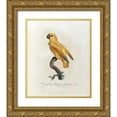 thumbnail image 1 of Barraband, Jacques 26x31 Gold Ornate Wood Framed with Double Matting Museum Art Print Titled - Variete du Perroquet a tete grise, 1 of 4