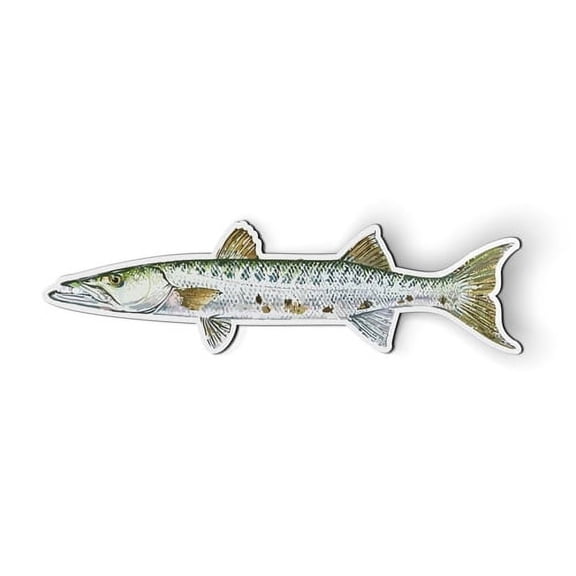 Barracuda Fishing - 7" Magnet for Car Locker Refrigerator