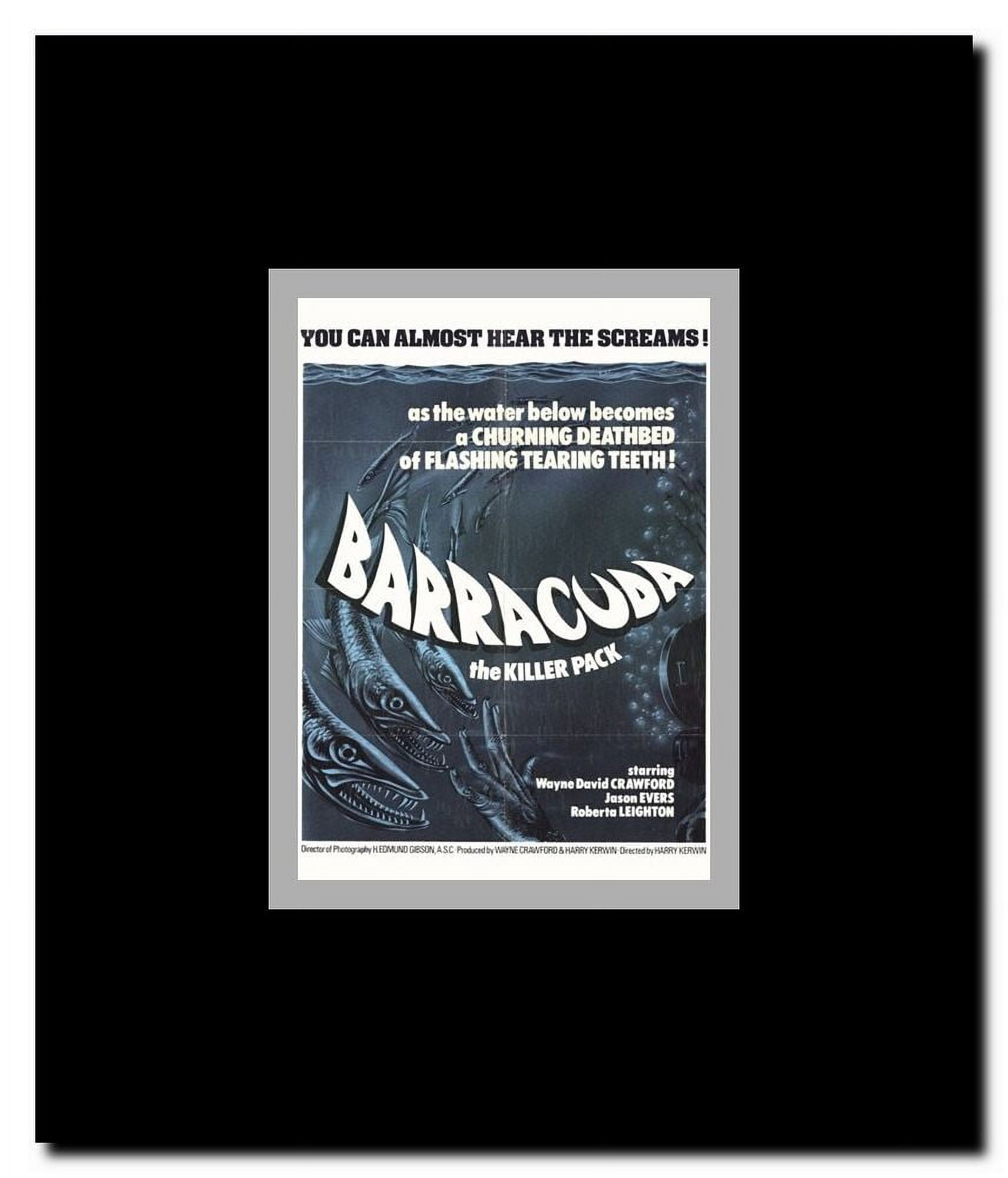 Barracuda Framed Movie Poster