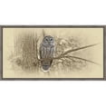 thumbnail image 1 of Barred Owl, Framed Giclee Canvas Art, 1 of 1
