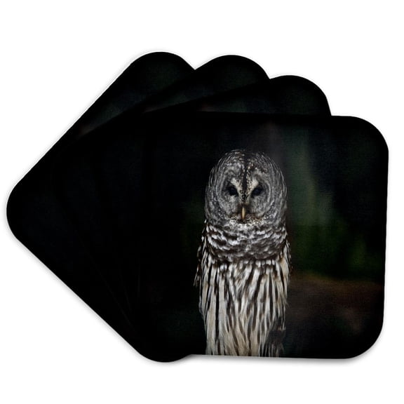 3drose, Barred Owl in Michigan, Set of 4 Coasters - Soft