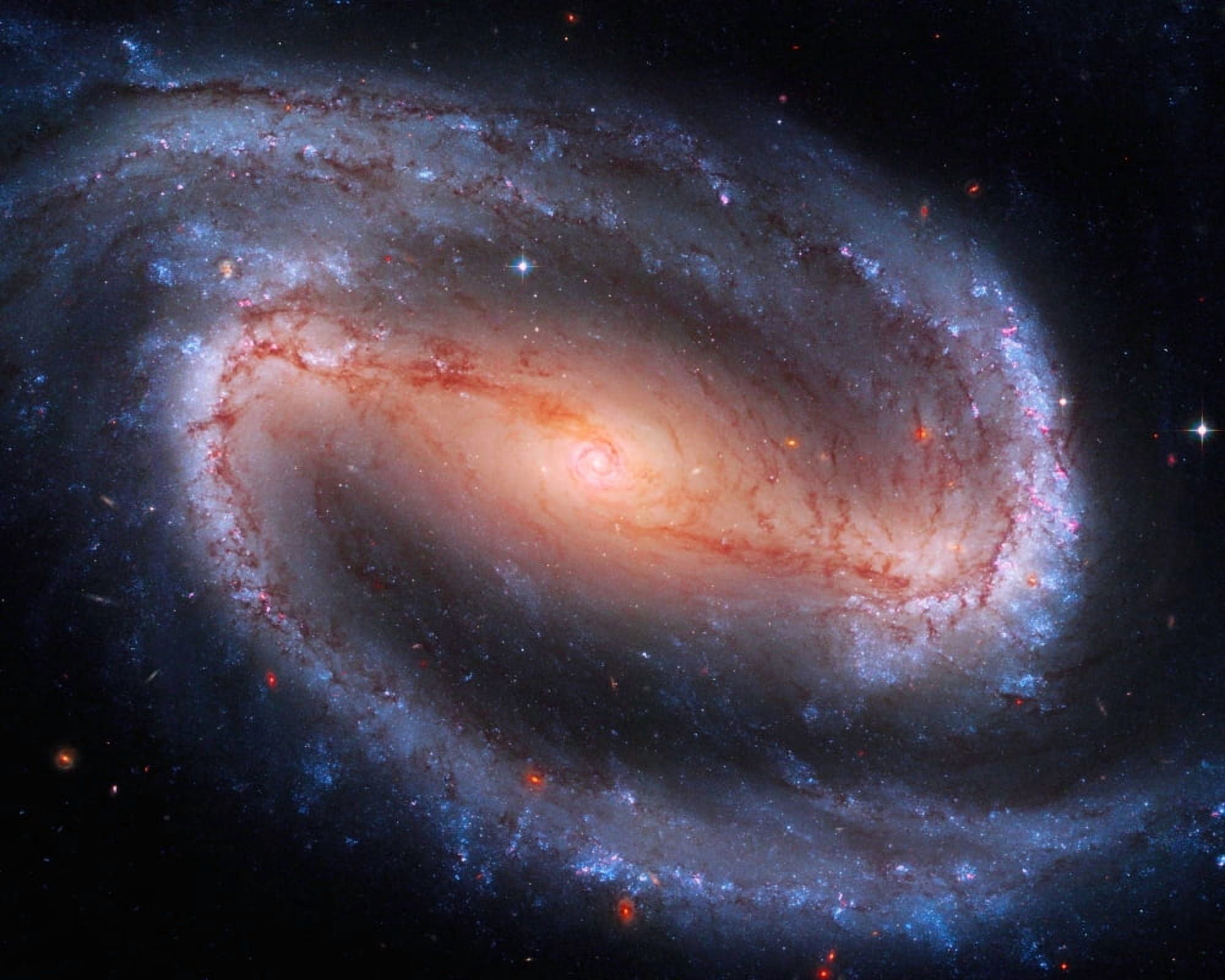 Barred Spiral Galaxy Ngc 1300 Canvas Art - Don Hammond  Design Pics (16 x 12)