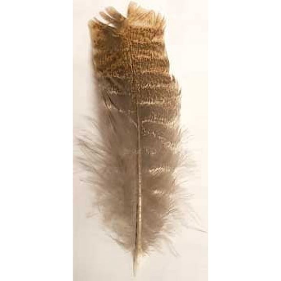 Barred Wing Smudging Feather | Trending Now