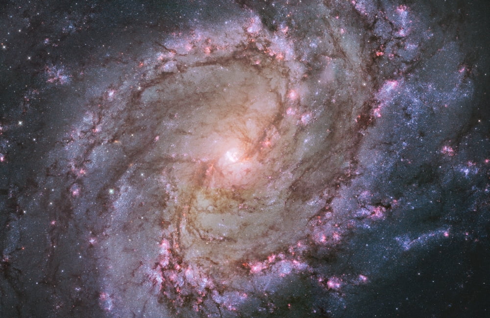 Barred spiral galaxy Messier 83 Canvas Art - Stocktrek Images (35 x 23)