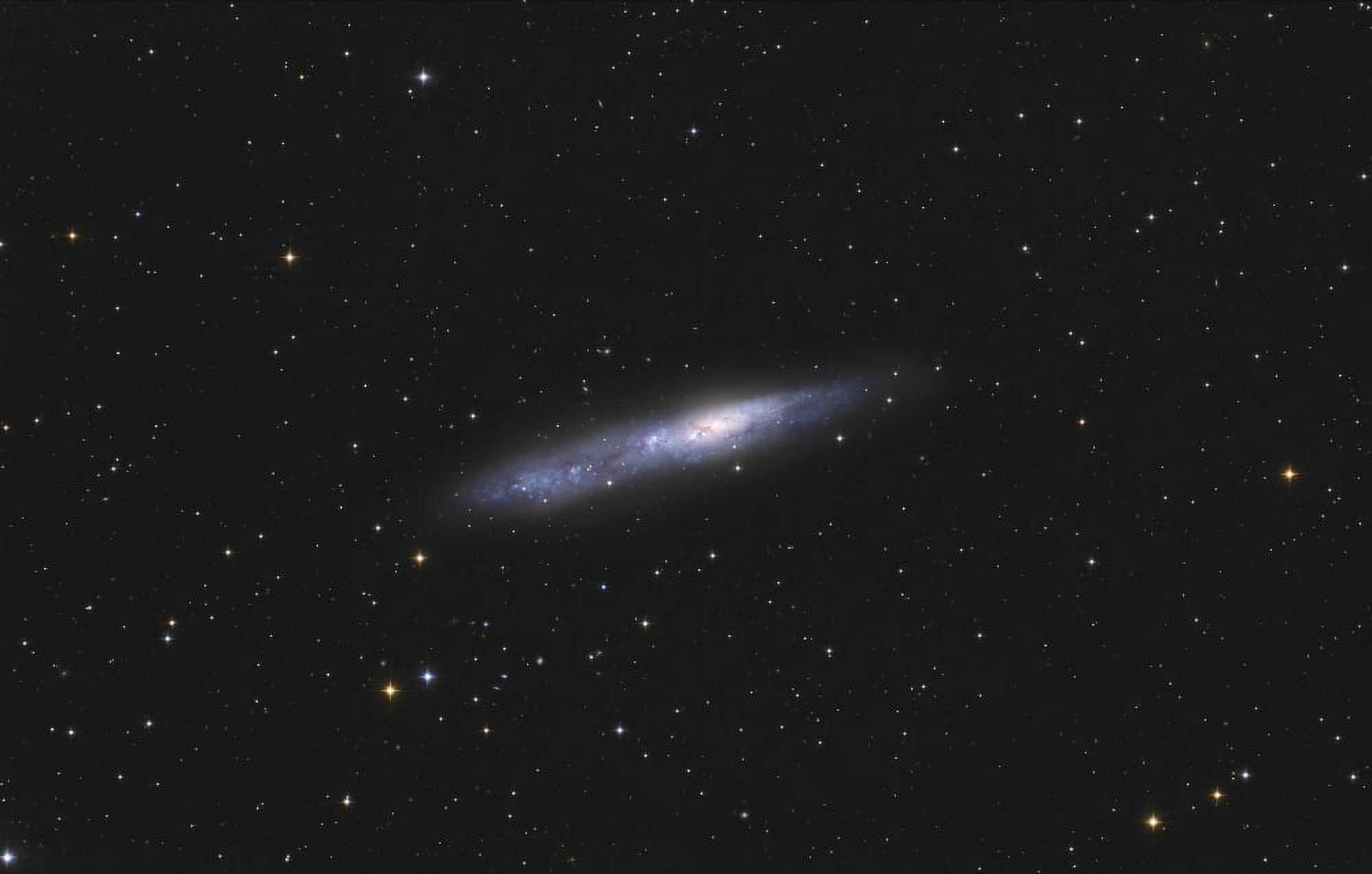 Barred spiral galaxy NGC 55 in the constellation Sculptor Canvas Art - Lorand FenyesStocktrek Images (35 x 22)