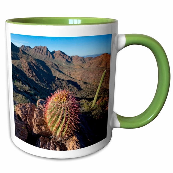 3drose, Barrel Cactus, Tucson Mountains, Saguaro Np, West, Tucson Arizona, 11oz Two-tone Green Mug