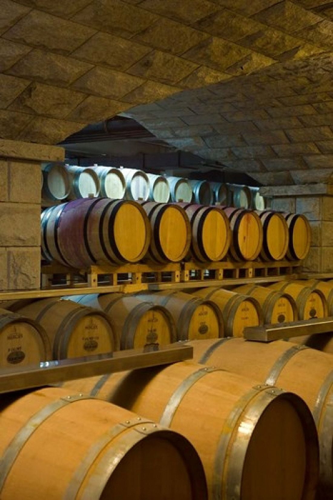 Barrels in cellar at Chateau Changyu-Castel Shandong Province China Canvas Art - Janis Miglavs DanitaDelimont (11 x 17)
