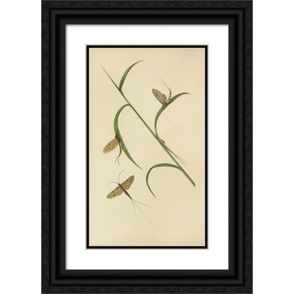Barret And Sons 12x18 Black Ornate Wood Framed Double Matted Museum Art Print Titled - The May Fly - Green and Fray Drake (1871)