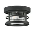 thumbnail image 1 of Barrett 1-Light Outdoor Ceiling Light in Black, 1 of 3