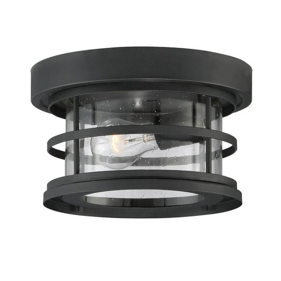 Barrett 1-Light Outdoor Ceiling Light in Black