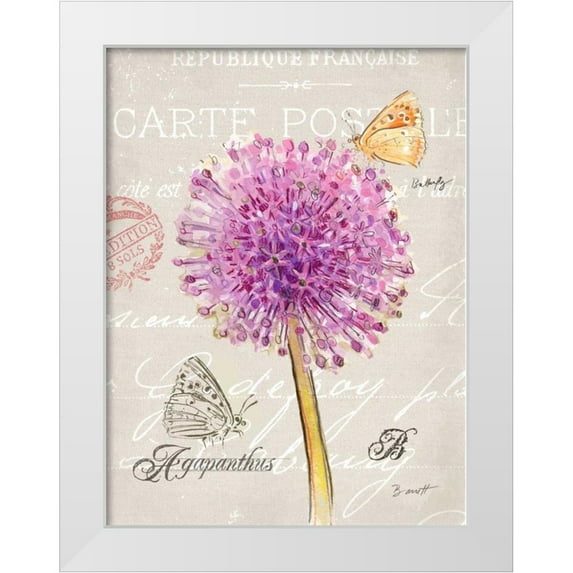 Barrett, Chad 19x24 White Modern Wood Framed Museum Art Print Titled - Sketchbook Agapanthus