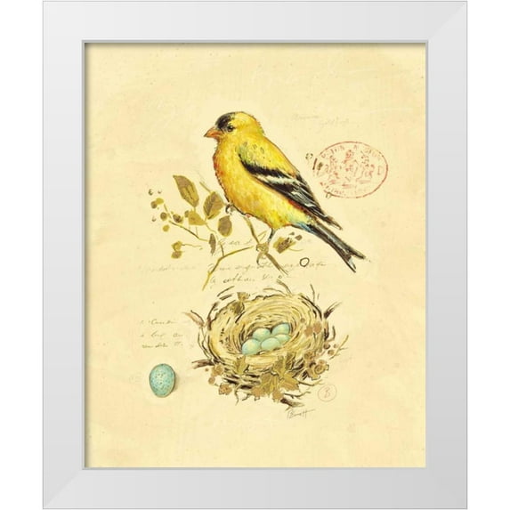 Barrett, Chad 26x31 White Modern Wood Framed Museum Art Print Titled - Gilded Songbird 2
