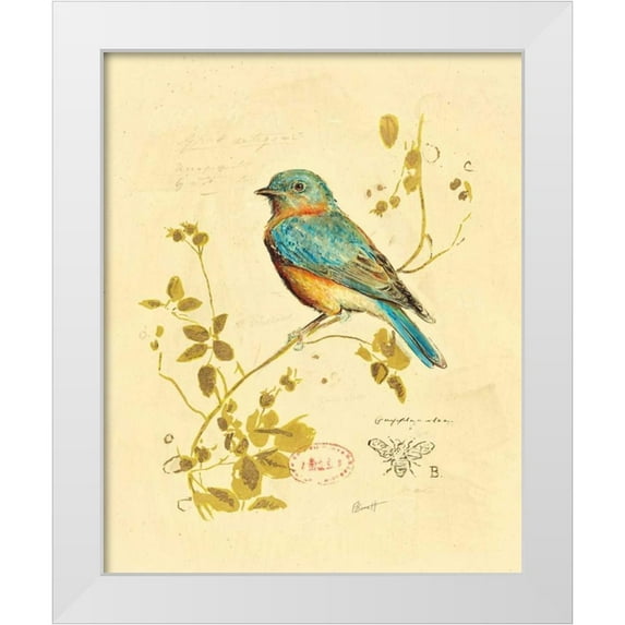 Barrett, Chad 26x31 White Modern Wood Framed Museum Art Print Titled - Gilded Songbird 4