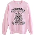 thumbnail image 1 of Barrington University The Ritual Sweatshirt - House of Lords Dark Romance Reader Smut Sweater, 1 of 6