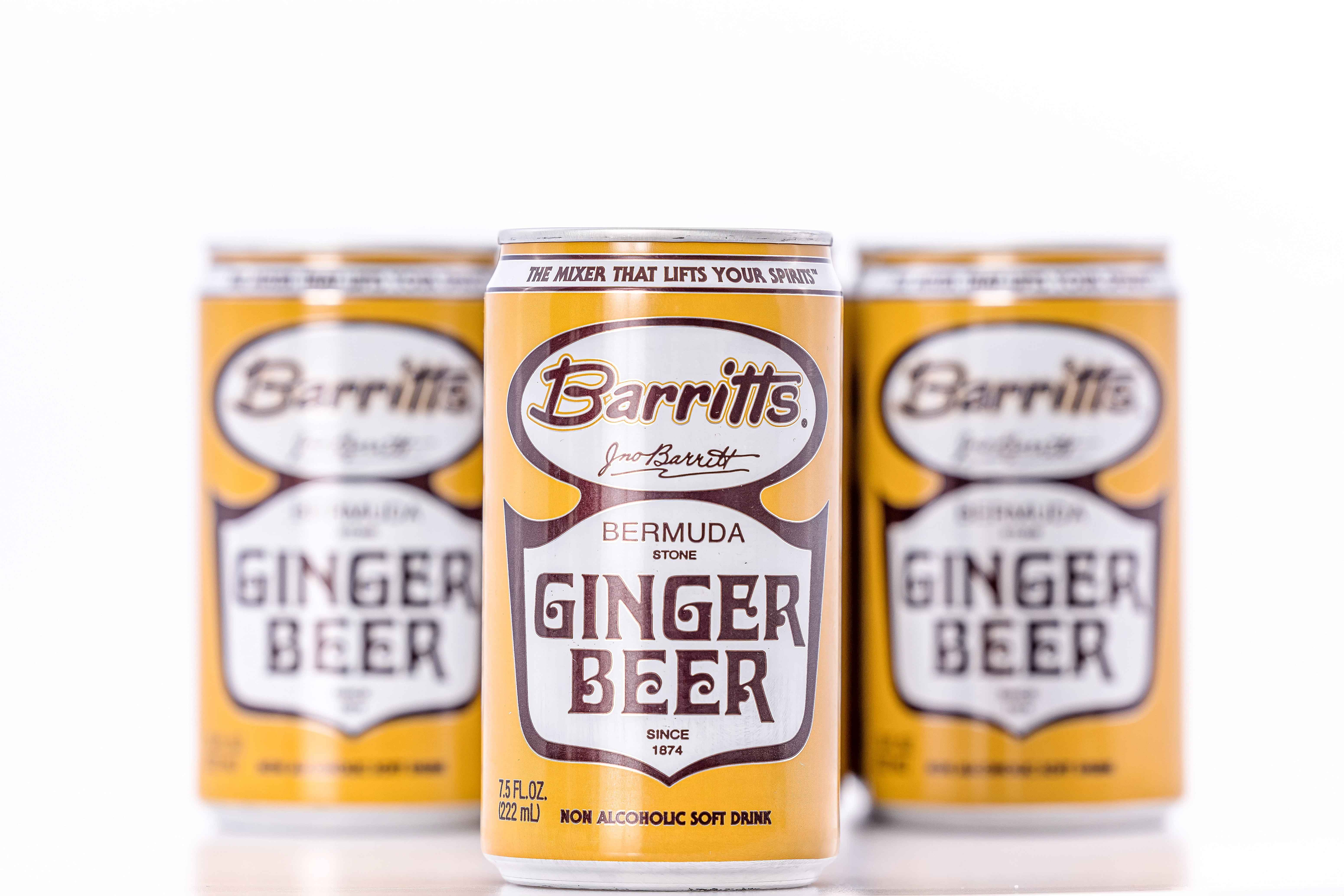 Barritt's Original Ginger Beer - 24pack - 7.5oz Cans - Mini - Gluten Free