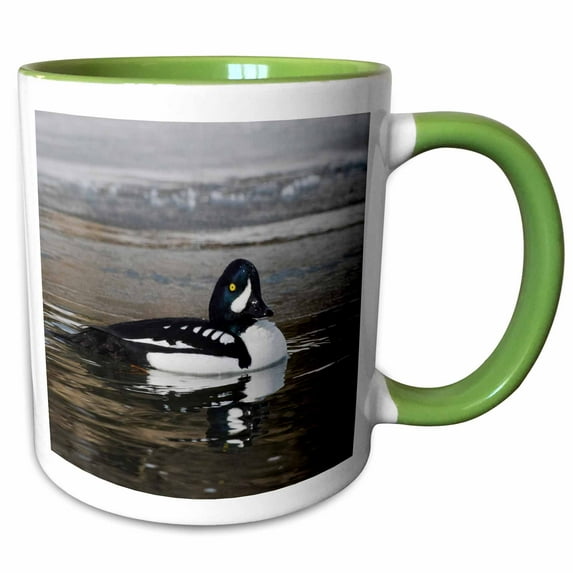 3drose, Barrows Goldeneye Duck on the Icy Lamar River, 15oz Two-tone Green Mug