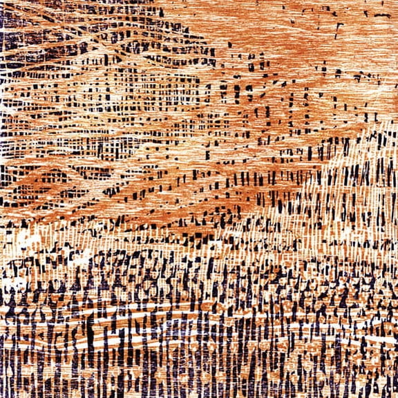 Barry Andrewsin Disko - Kuka Siella? - Rock - Vinyl