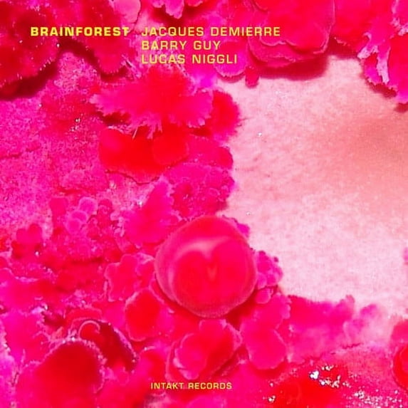 Barry Guy - Brainforest - Music & Performance - CD
