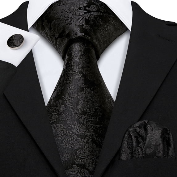 Barry.Wang Classic Ties for Men Formal Business Wedding Solid Paisley Necktie Set
