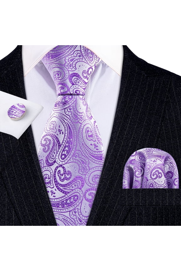 Barry.Wang Classic Ties for Men Formal Business Wedding Solid Paisley Necktie Set