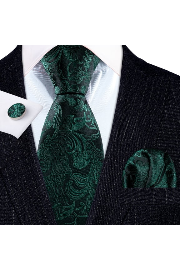 Barry.Wang Classic Ties for Men Formal Business Wedding Solid Paisley Necktie Set