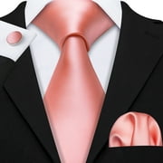 Barry.Wang Classic Ties for Men Formal Business Wedding Solid Paisley Necktie Set