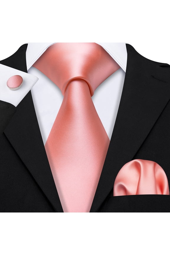 Barry.Wang Classic Ties for Men Formal Business Wedding Solid Paisley Necktie Set