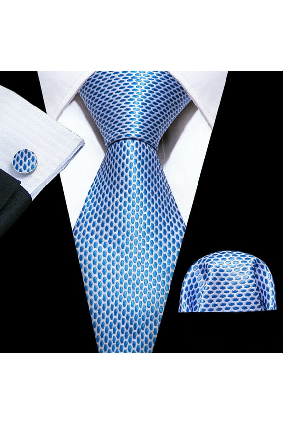 Barry.Wang Classic Ties for Men Formal Business Wedding Solid Paisley Necktie Set