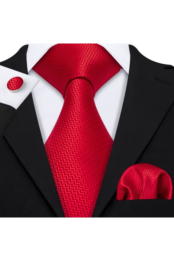 Barry.Wang Classic Ties for Men Formal Business Wedding Solid Paisley Necktie Set